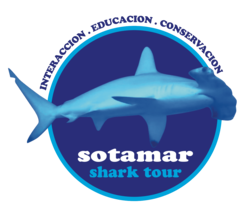 Sotamar Shark